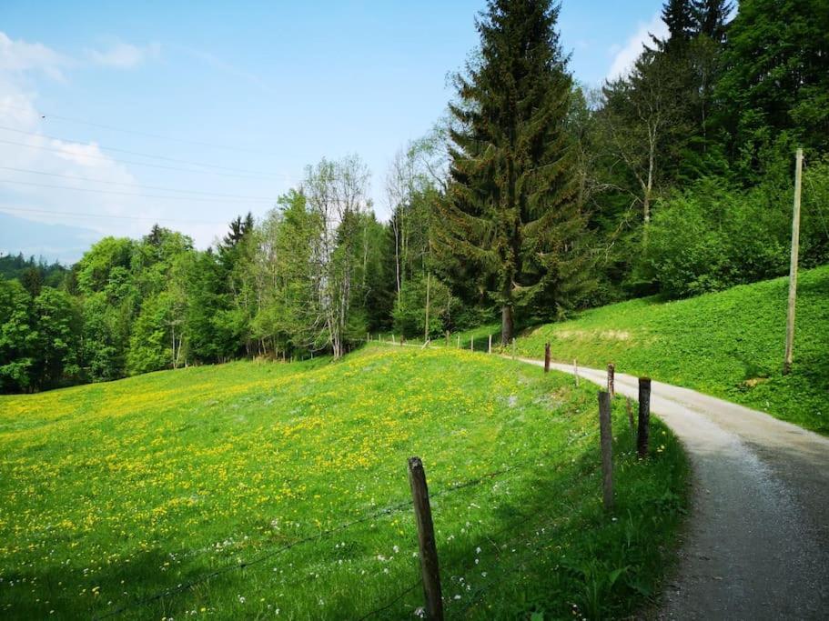 Forest View Apartment In Leissigen By Interlaken With No Kitchen Kültér fotó